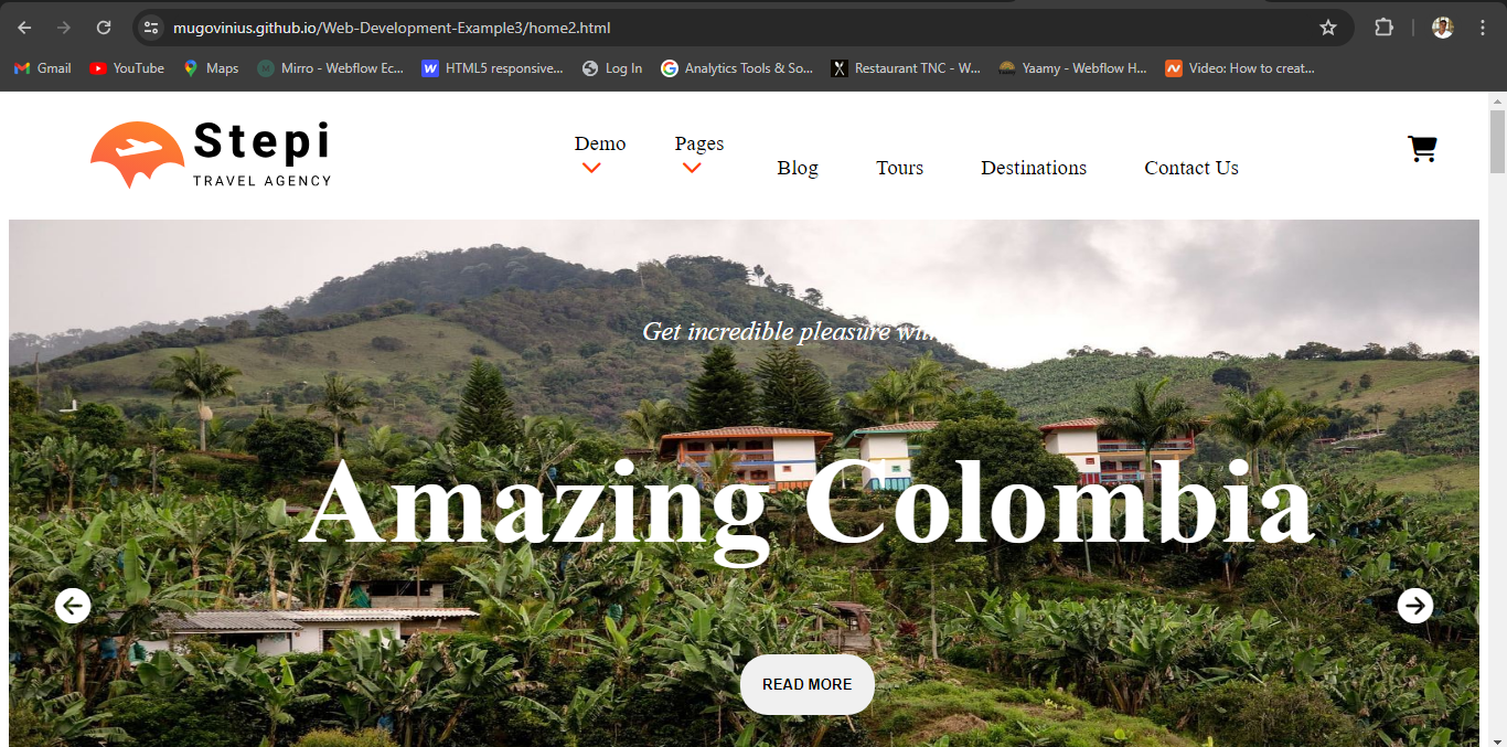 stepi-website